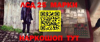 гидропоника Краснознаменск