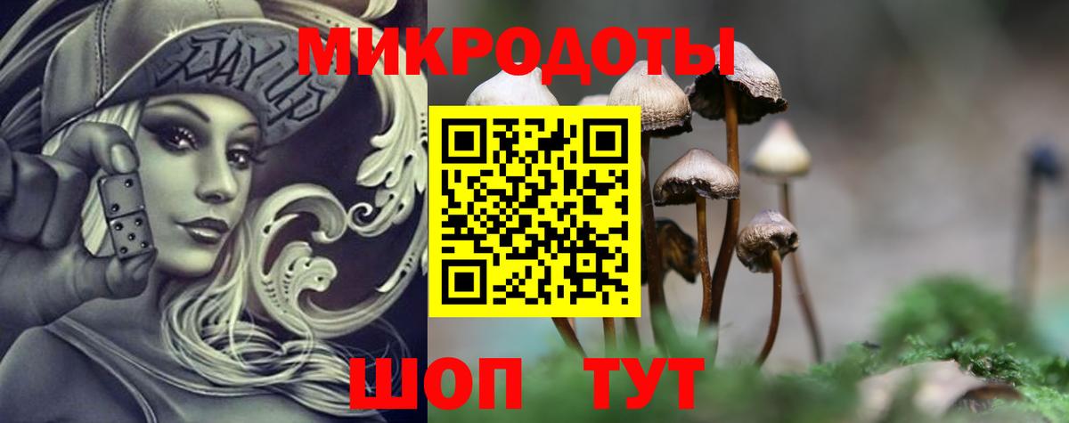 Псилоцибиновые грибы Magic Shrooms  цена   Кирово-Чепецк  Вход с VPN 